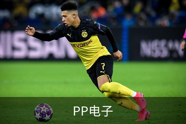 PP电子公司简介图片